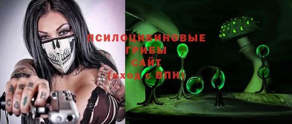 молекула духа Алзамай