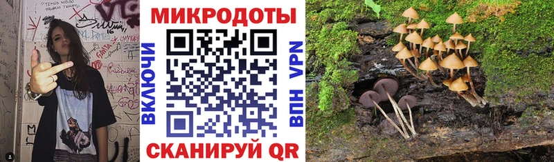 Галлюциногенные грибы Psilocybe  ОМГ ОМГ вход  Боготол 